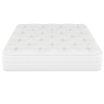 Springfield 2000 Natural Ortho Divan Set