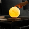 Gingko Earth Lamp Natural Walnut Wood