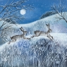 Moon and Hares Christmas Cards Pack of 5