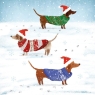 Snowy Paw Prints Christmas Cards Pack of 8