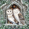 Owls In A Church Window Christmas Cards Pack of 8