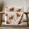 Angus Cow Throw