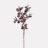 Aubergine Eucalyptus Seeds Spray