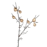 Gold Pears Stem with Moss