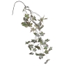 Snowy Grape Leaf Vine
