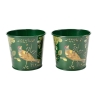 RHS Woodland Wonders Set of 2 Herb Pots
