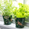 RHS Woodland Wonders Set of 2 Herb Pots