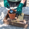 RHS Woodland Wonders Sowing & Potting Tin