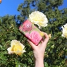 Kew Gardens Soap Bar Summer Rose 240g