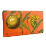 Kew Gardens Soap Bar Bergamot & Ginger 240g