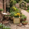 Suffolk Square Planter