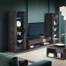 Hartest TV Unit Lifestyle