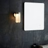 Brushed Silver & Frosted Glass Wall Light