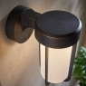 Brushed Bronzed & Frosted Glass LED Wall Light