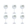 Party Set of Six Gin Copa Glasses 