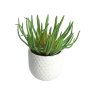 Gisela Graham Faux Spike Succulent In White Pot