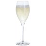 Dartington Party Set Of Six Prosecco Glasses 