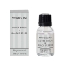 Stoneglow Modern Classics Silver Birch & Black Pepper Fragrance Oil 15ml