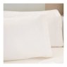 Belledorm Jersey Cotton Classic Pillowcase Pair Ivory