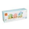 Orange Tree Toys Pull Along Birdies