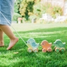 Orange Tree Toys Pull Along Birdies