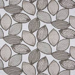 Allium Taupe