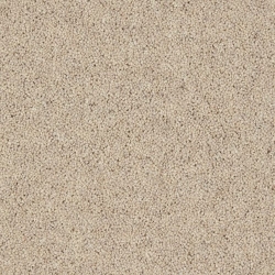 Pine Nut