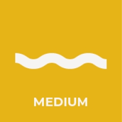 Medium