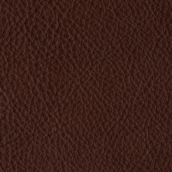 P201 Capri Burgundy