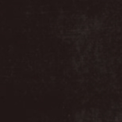Joy Shadow